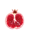 grenade fruit cmyk 2-png